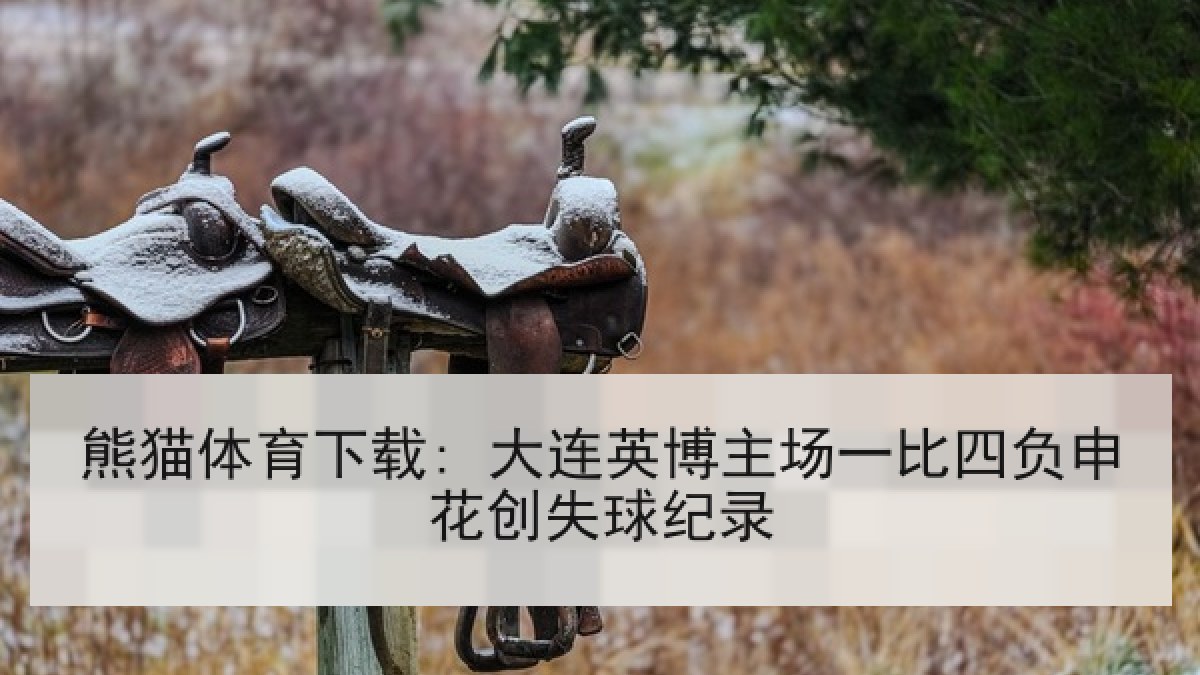 熊猫体育下载: 大连英博主场一比四负申花创失球纪录
